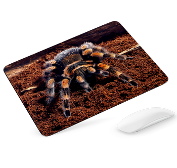 Podkładka pod mysz Pająk ptasznik