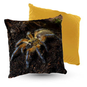 Poduszka welur pająk 40x40 cm