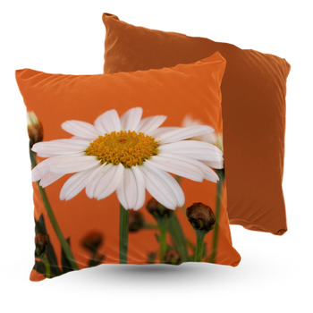 Poduszka polne kwiaty, kwiat stokrotki 40x40 cm