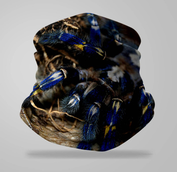 Komin wielofunkcyjny bezszwowy pająk