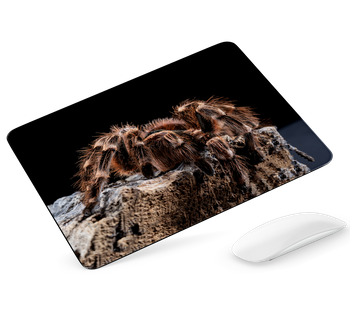 Podkładka pod mysz Pająk ptasznik