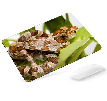 Podkładka pod mysz Wąż zbożowy
