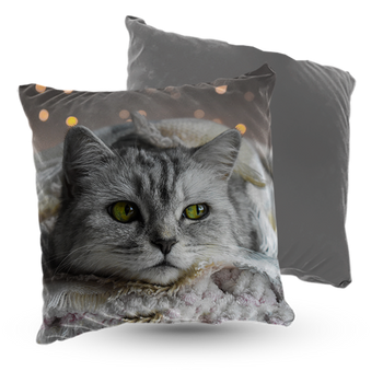 Poduszka welur kot 40x40 cm