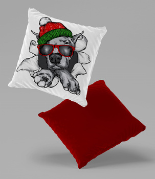 Poduszka welur zabawny pies w zimowej czapce 40x40 cm