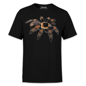 Koszulka dziecięca pająk Brachypelma hamorii