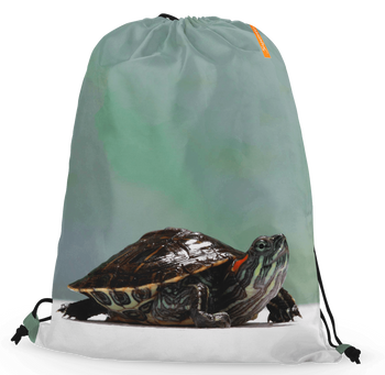 Worko-plecak żółw