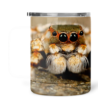 Kubek termiczny 300 ml pająk skakun