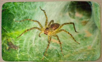 Dywanik 45x75 cm z grafiką pająk