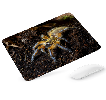 Podkładka pod mysz Pająk