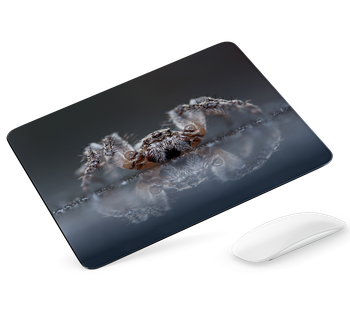 Podkładka pod mysz Pająk
