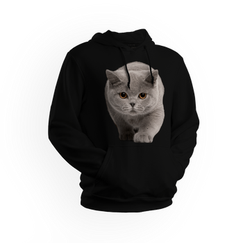 Bluza męska/unisex z kapturem kot brytyjski