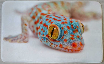 Dywanik 45x75 cm z grafiką gekon toke