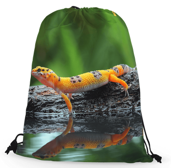 Worko-plecak gekon lamparci