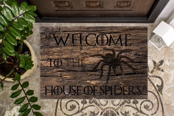 Wycieraczka House of Spiders
