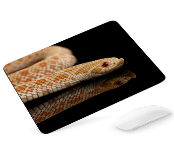 Podkładka pod mysz Wąż heterodon