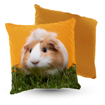 Poduszka welur świnka morska 40x40 cm