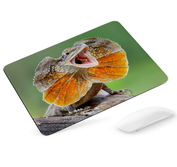 Podkładka pod mysz Agama kołnierzasta