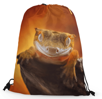 Worko-plecak gekon orzęsiony