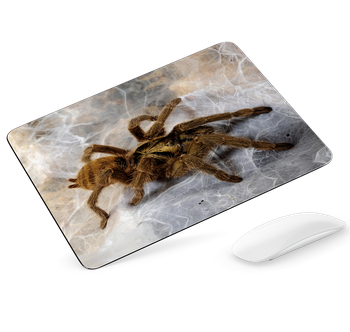 Podkładka pod mysz Pająk