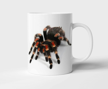 Kubek ceramiczny 330 ml z nadrukiem pająk