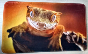 Dywanik 45x75 cm z grafiką gekon orzęsiony