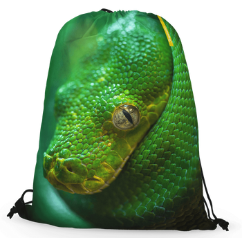 Worko-plecak python wąż