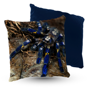 Poduszka welur pająk Metallica 40x40 cm