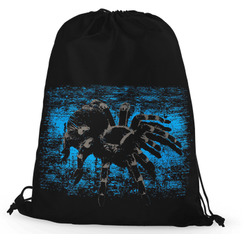 Worko-plecak pająk na błękicie