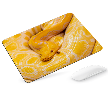 Podkładka pod mysz Wąż pyton