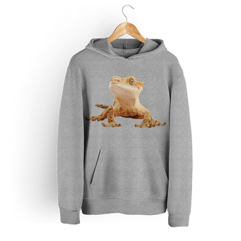 Bluza dziecięca z kapturem agama brodata