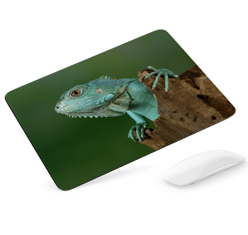Podkładka pod mysz - Agama