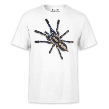 Koszulka dziecięca pająk metallica