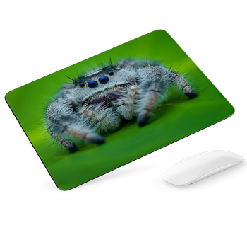 Podkładka pod mysz Pająk