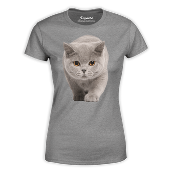 Koszulka kot brytyjski