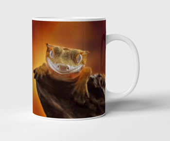 Kubek ceramiczny gekon orzęsiony gady