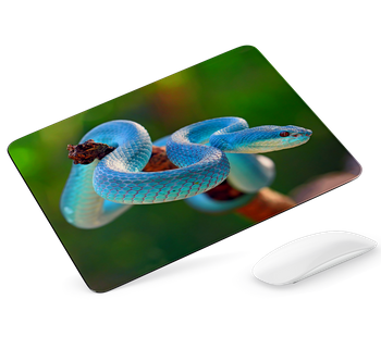 Podkładka pod mysz Wąż niebieska