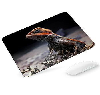 Podkładka pod mysz Agama