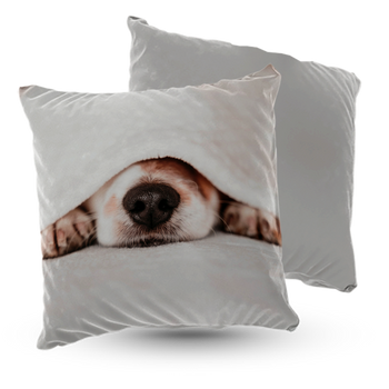Poduszka welur psi nos 40x40 cm