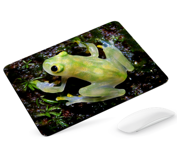 Podkładka pod mysz Żaba