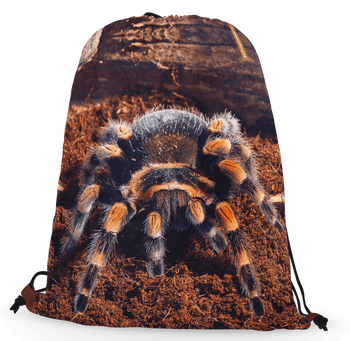 Worko-plecak pająk brachypelma