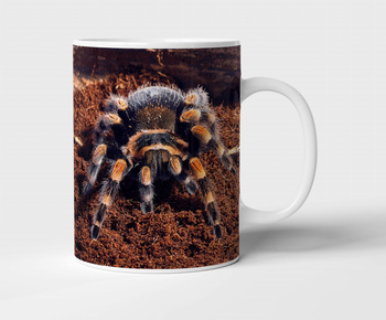 Kubek ceramiczny pająk