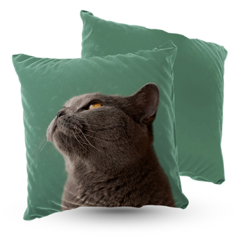 Poduszka welur kot brytyjski niebieski 40x40 cm