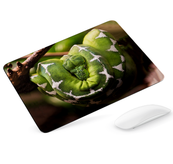 Podkładka pod mysz Wąż zielony