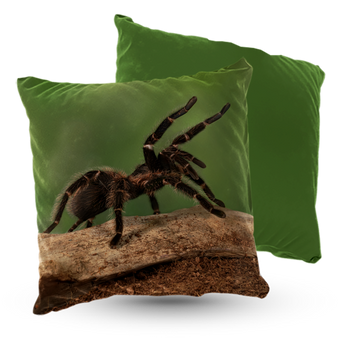 Poduszka welur pająk 40x40 cm