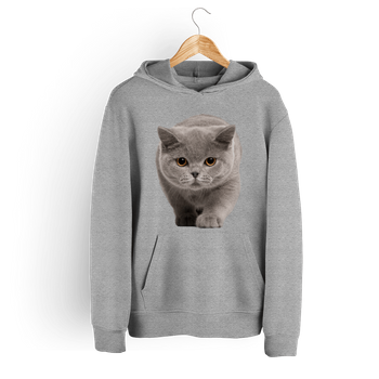 Bluza damska z kapturem kot brytyjski