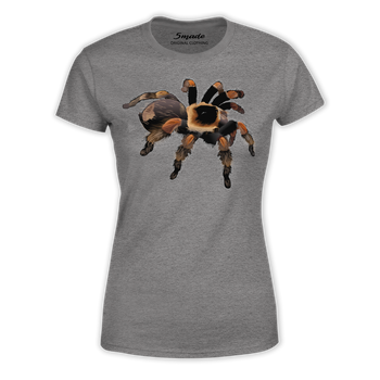 Koszulka pająk Brachypelma hamorii