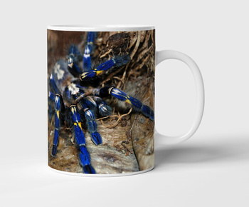 Kubek ceramiczny pająk