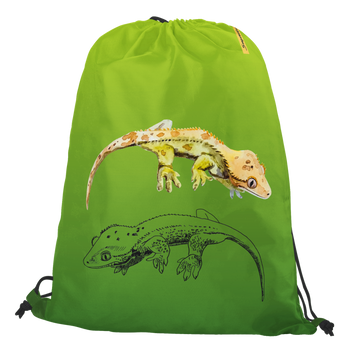 Worko-plecak gekon orzęsiony
