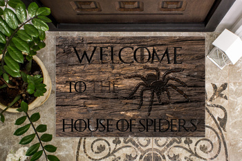 Wycieraczka 45x75 cm z grafiką Welcome to the House of Spiders