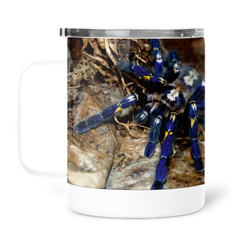 Kubek termiczny 300 ml do kawy pająk